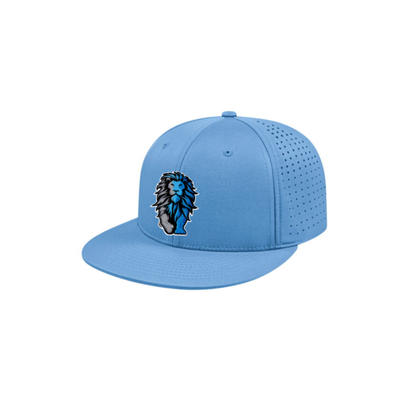 Lions Team Columbia Blue Cap