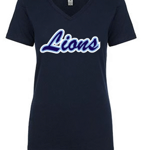 Women's Ideal V-Neck T-Shirt